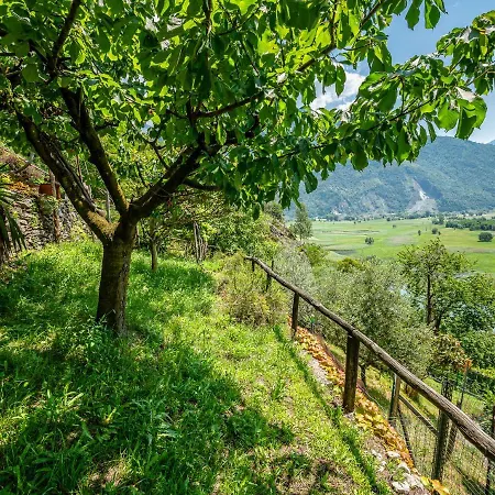 Ferienhaus Rustico Ciabott Dascio